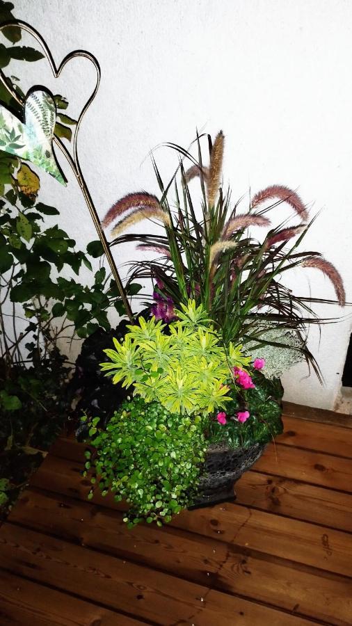 Hotel Atelier & Gardenhouse Glamping Múnich Exterior foto